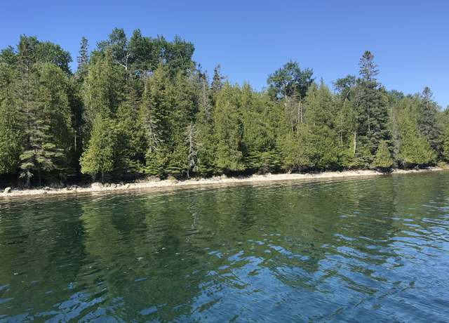 Property at TBD S Coryell Is, Cedarville, MI 49719