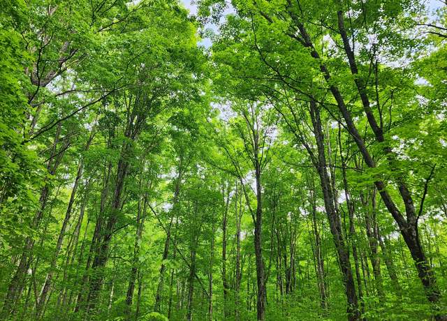 Property at 10 acres Wildwood Trl, Mancelona, MI 49659