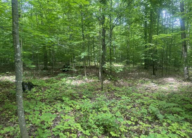 Property at 000 Co Rd 438, Mcmillan, MI 49853