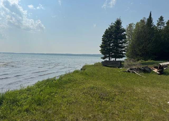 Property at 000 Co. Rd. 379, Mcmillan, MI 49853