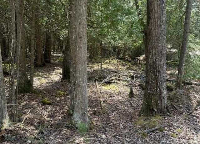 Property at 1.09Ac Stoney Point Rd, Hessel, MI 49745