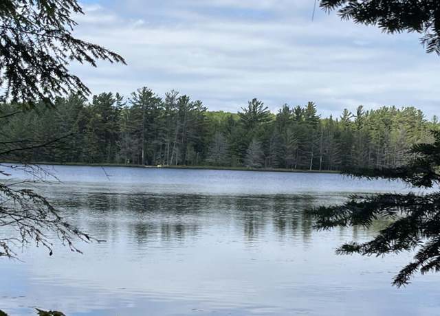 Property at 000 West Chesbrough Lake Rd, Newberry, MI 49868