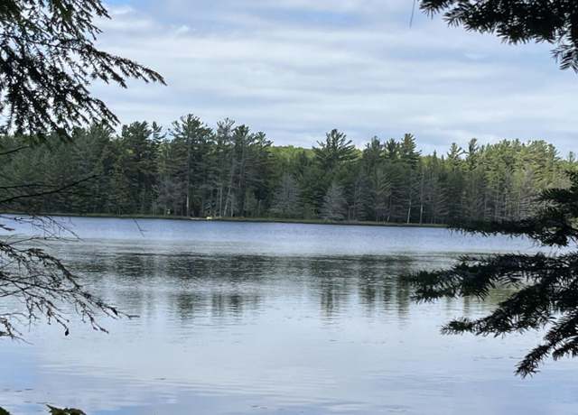 Property at 000 W Chesbrough Lake Rd, Newberry, MI 49868