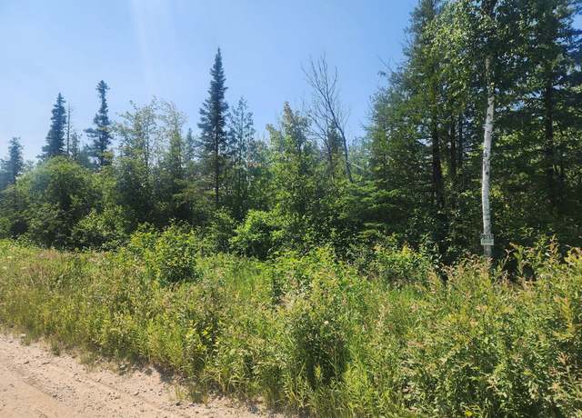 Property at 80 acres County Road 415, Mcmillan, MI 49853