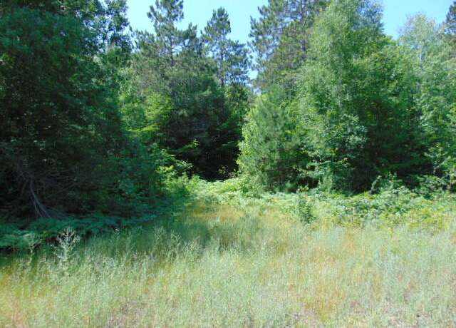 Property at 000 Winding Woods Run, Pentland Township, MI 49868