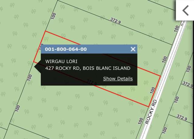 Property at 427 Rocky Rd, Bois Blanc, MI 49775
