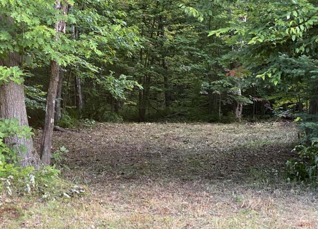 Property at 000 N Brasser Rd, Sault Ste Marie, MI 49783
