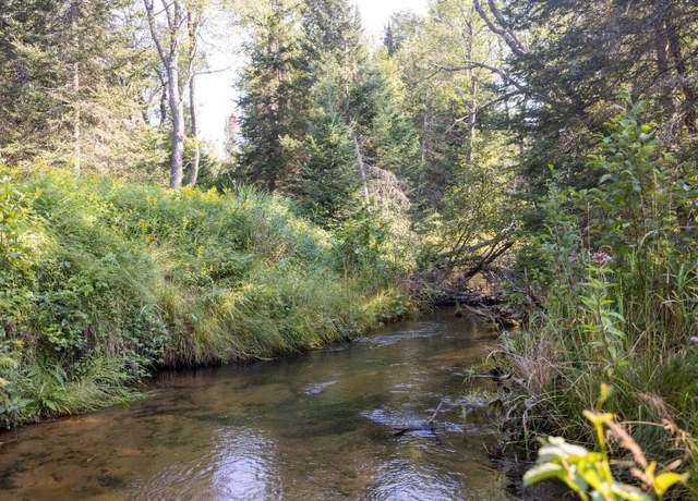 Property at N9895 Krause Rd, Engadine, MI 49827
