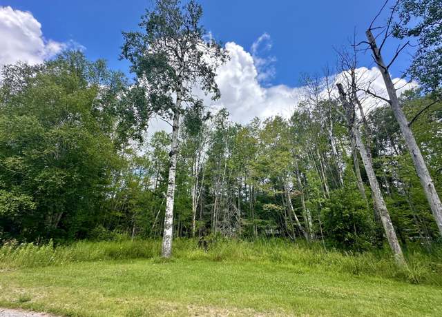 Property at 000 W Michigan Ave, Trout Lake, MI 49793