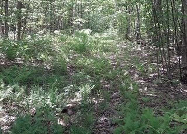 Property at 1314 S Brasser Rd, Sugar Island, MI 49783