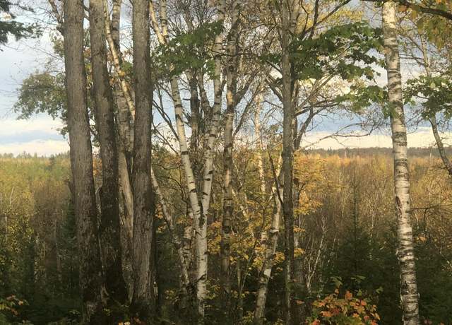 Property at Lot 13 W Cedar Dr, Sault Ste Marie, MI 49783