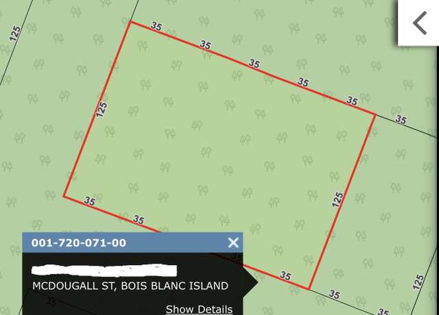 Property at 33-37B8 Mcdougall St, Bois Blanc, MI 49775