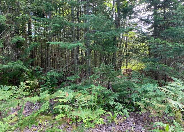 Property at TBD N M-123, Paradise, MI 49768