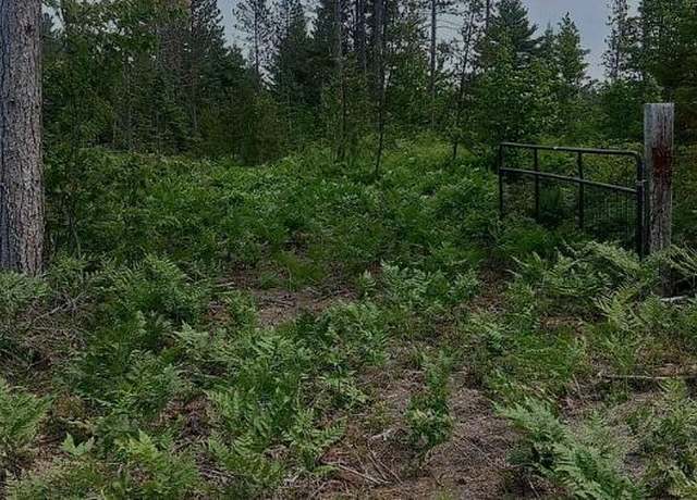 Property at 0 Buckhaven Trl, Newberry, MI 49868