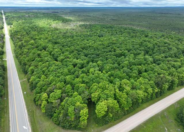 Property at 000 M-28, Mcmillan, MI 49853