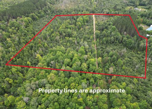 Property at 10.11 Acre SE Golden Rd, Kalkaska, MI 49646