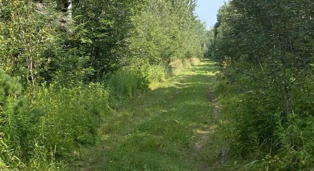 Photo of 0 Pheiffer Rd, Rudyard, MI 49780
