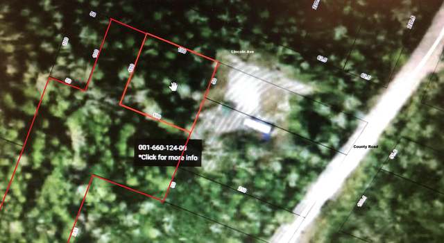 Photo of 660121124 Lincoln Ave, Bois Blanc, MI 49775