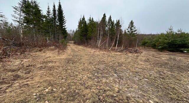 Photo of 30Ac M/L W Pendills Lake Rd, Brimley/bay Mills, MI 49715