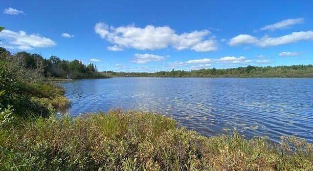 Photo of 00 Birch Shores Dr, Trout Lake, MI 49793
