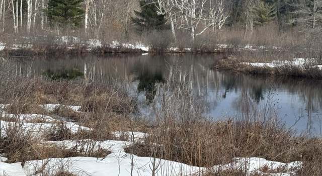 Photo of 0 S Riverrun Dr, Trout Lake, MI 49793