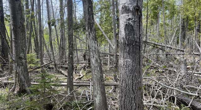 Photo of 58 Rocky Rd, Bois Blanc, MI 49775