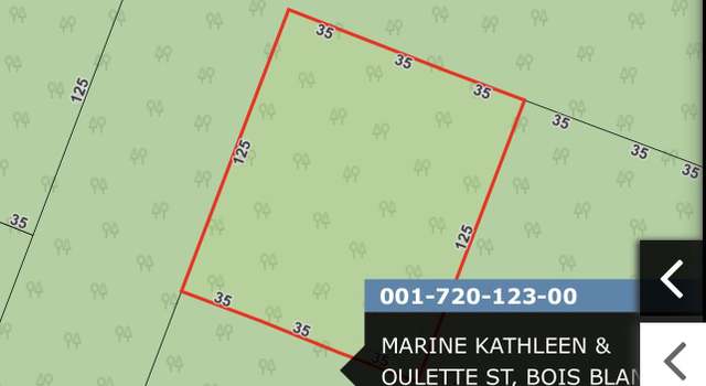 Photo of 21-23B11 Oulette, Bois Blanc, MI 49775