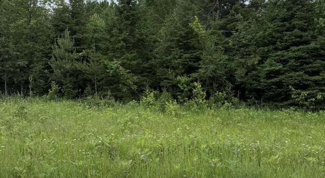 Photo of 0000 W Country Rd, Trout Lake, MI 49793