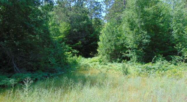 Photo of 000 Winding Woods Run, Pentland Township, MI 49868