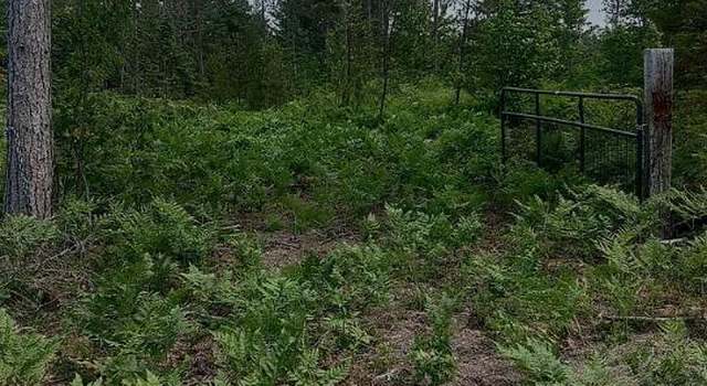 Photo of 0 Buckhaven Trl, Newberry, MI 49868
