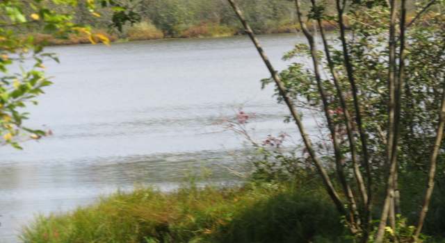 Photo of lot 118 pt W Birch Shore Dr, Trout Lake, MI 49793