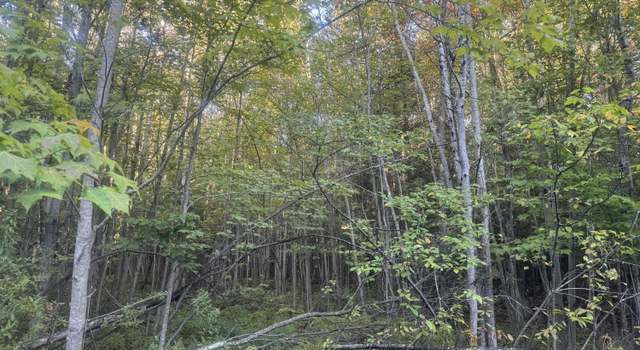 Photo of W14903 Sandtown Rd, Engadine, MI 49827