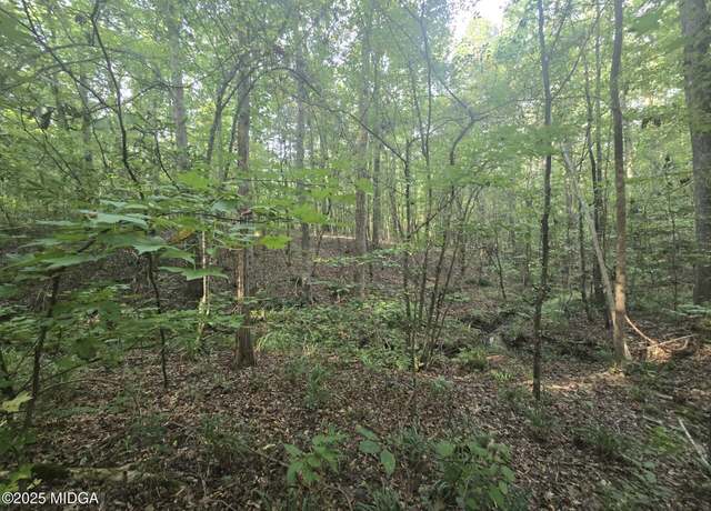 Property at Lot 8 Pine Grove Church Rd, Culloden, GA 31016