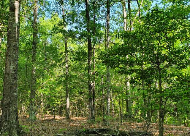 Property at 0 Highway 57 Lot 2-A, Macon, GA 31217