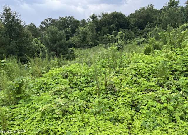 Property at 0 Rolling Hill Rd, Fort Valley, GA 31030