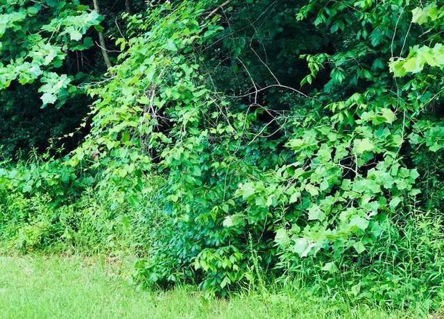Property at 726 Waverly Pt, Macon, GA 31210