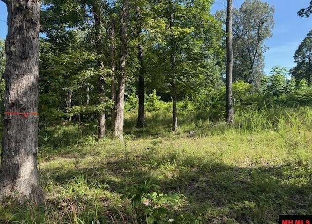 Property at 267 Cr 987, Mountain Home, AR 72653