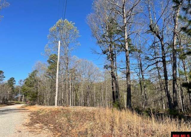 Property at 60 Mc 6047, Yellville, AR 72687