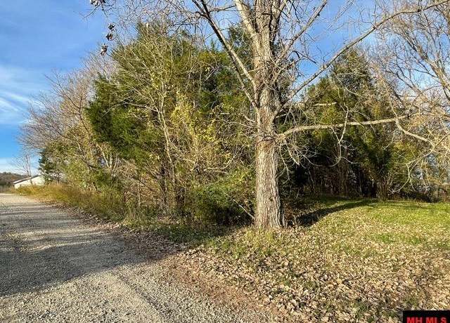 Property at Lot 12 Little Ln, Cotter, AR 72626