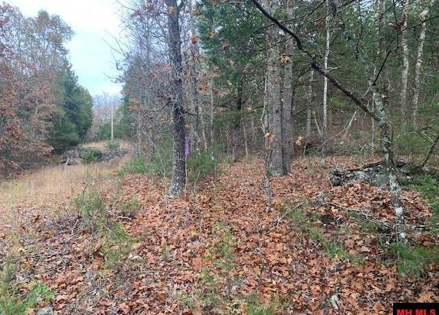 Property at 125-00033-000 Mc 6025, Yellville, AR 72687
