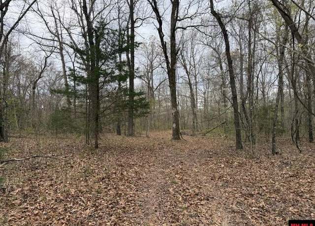 Property at 687 Cr 479, Mountain Home, AR 72653