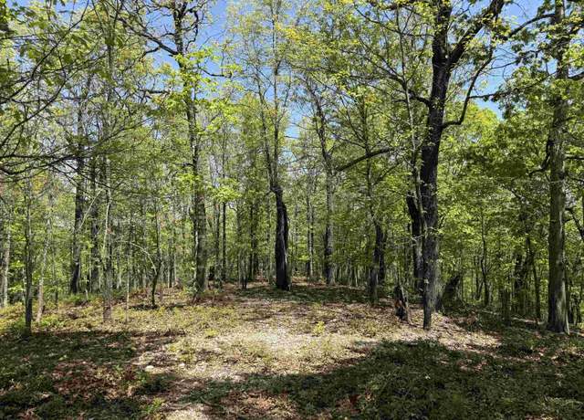Property at 001-00388-005 Falling Tree Ln, Flippin, AR 72634