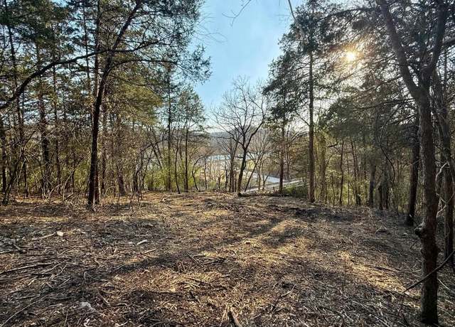 Property at 004-00632-000 Hwy 345, Cotter, AR 72626