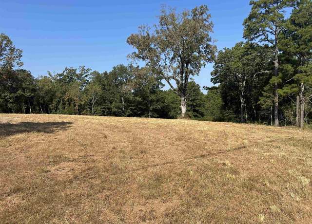 Property at 357 AR Hwy 177, Pineville, AR 72519