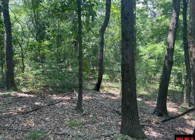 Property at 3721 Thousand Oaks Dr, Yellville, AR 72687