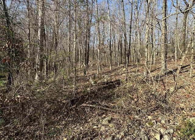 Property at 300-00220-000 Blackfoot Dr, Cherokee Village, AR 72529