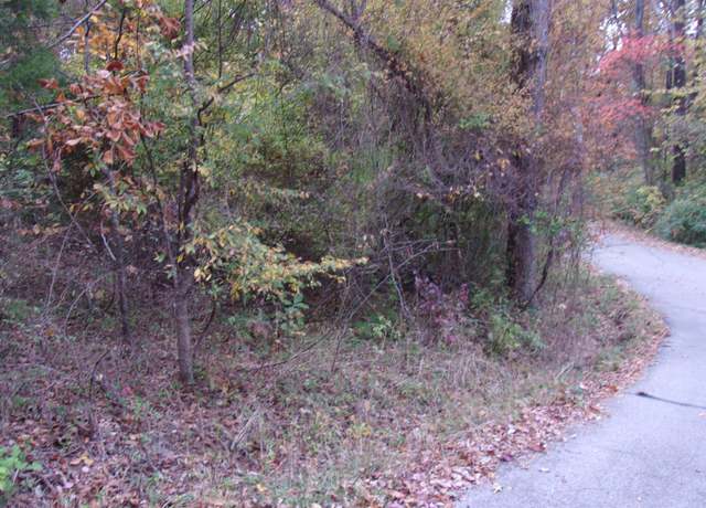 Property at 002-04257-504 Flint Dr, Lakeview, AR 72642