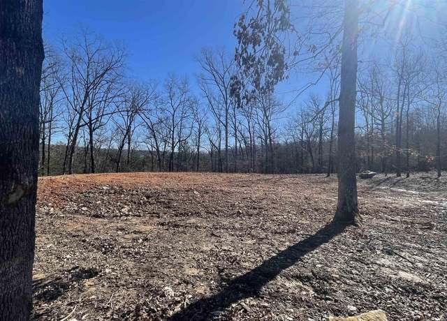 Property at 343 Mc 7002, Flippin, AR 72634