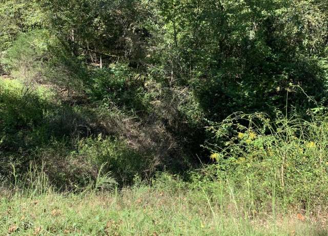 Property at Lots 16 & 17 South St, Midway, AR 72651