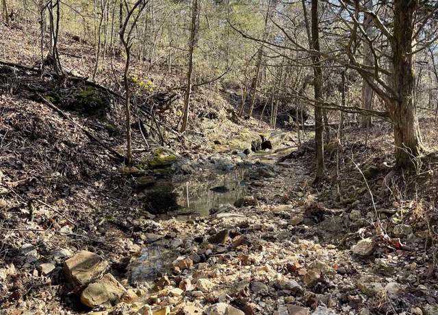 Property at 170614000000008 Hwy 160, Gainesville, MO 65655